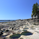 Illustration for article titled Pics from the (Ocean Floor): 2018-05-05 at Botanical Beach